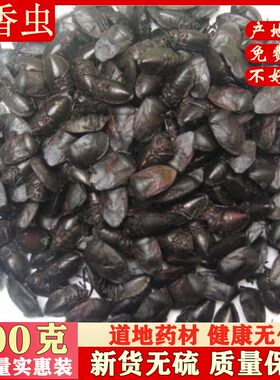 打屁虫中药材包邮