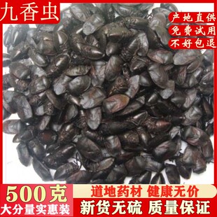 中药材九香虫 打屁虫 臭壳虫 放屁虫 500克包邮
