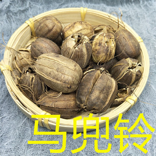 中药材 马兜铃500克包邮 水马香果 葫芦灌 马兜零 臭铃铛