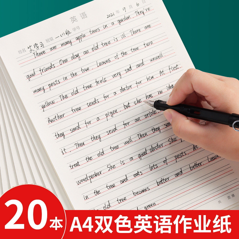 英语作业纸可撕式活页英语本