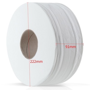 箱办公室公共卫生间大盘纸厕所用大盘纸 卫生纸2层240米原生木浆12卷 得力WP2240 01盘式