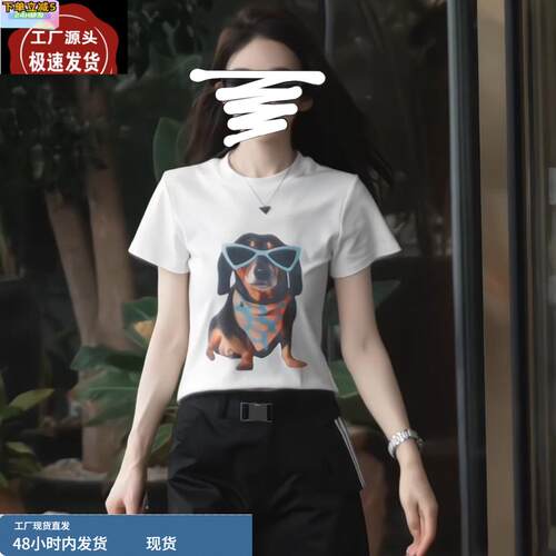 卡通小狗印花圆领短袖T恤女夏2025新款韩版时尚洋气正肩套头上衣