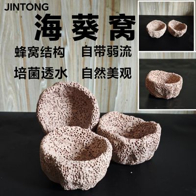 海葵窝 海葵屋 葵巢奶嘴地毯 固定防跑屋 蜂窝透水手工造景培菌石