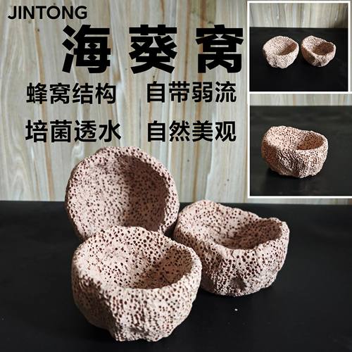 海葵窝 海葵屋 葵巢奶嘴地毯 固定防跑屋 蜂窝透水手工造景培菌石