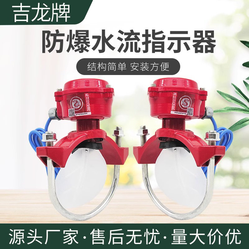吉龙防爆水流指示器ZSJZ