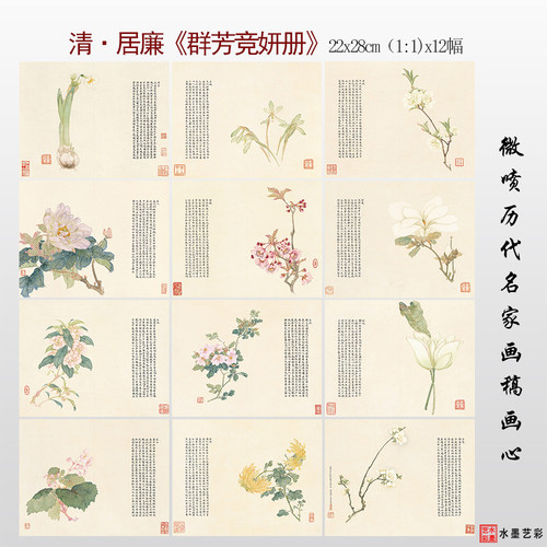 居廉花鸟册十二开群芳竞妍册画稿
