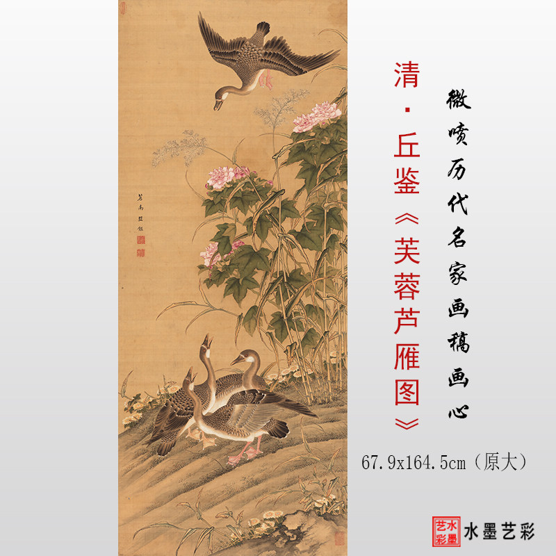 清代丘鉴 芙蓉芦雁图 高清微喷古代花鸟画临摹画稿底稿复制画心