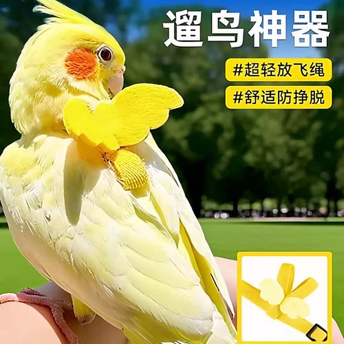 鸟用鹦鹉放飞绳玄凤虎皮牵引绳外出飞行胸背带舒适防脱遛鸟神器