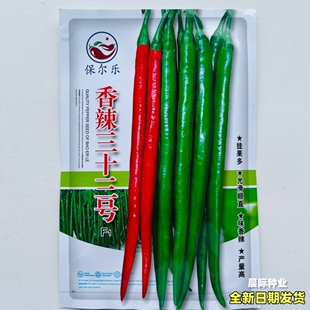 香辣三十三号线椒种籽杂交一代中早熟辣椒种子青红两用春秋季播种