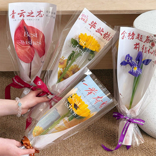 青云毕业季单只套袋 10套 防水款 毕业快乐金榜题名包装纸