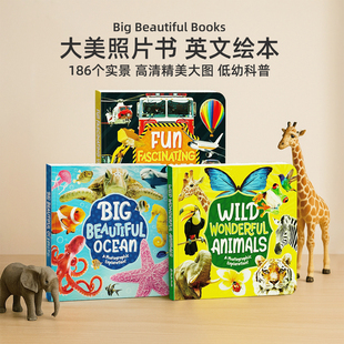 Fun 小怪兽点读版 Wild Vehicles交通工具 绘本2 Beautiful 英文原版 Big 5岁儿童科普读物 Ocean海洋 大美照片书 Animals动物