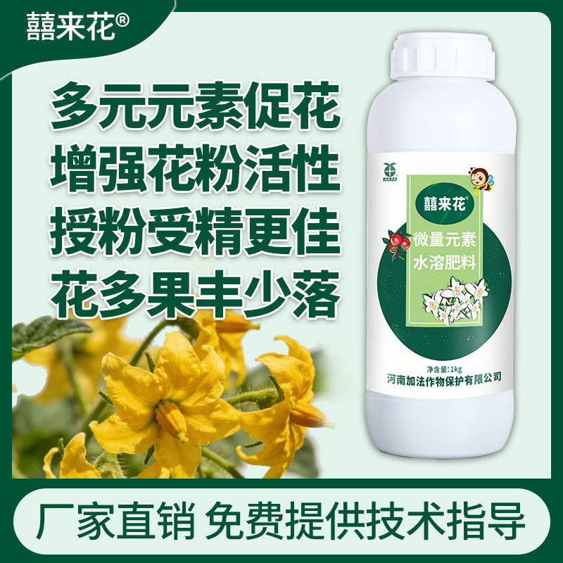 囍来花瓜果蔬菜花卉营养叶面肥料 促花芽催花促果 加法花不尽升级