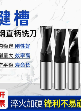 进口高速钢加硬直柄键槽铣刀2刃高速钢粗齿铣刀5 6 8 10 12 18 20