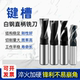 进口高速钢加硬直柄键槽铣刀2刃高速钢粗齿铣刀5