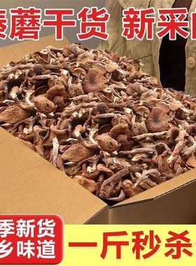 2024新货长白山特产级榛蘑东北小鸡炖蘑菇丁干货无根500g