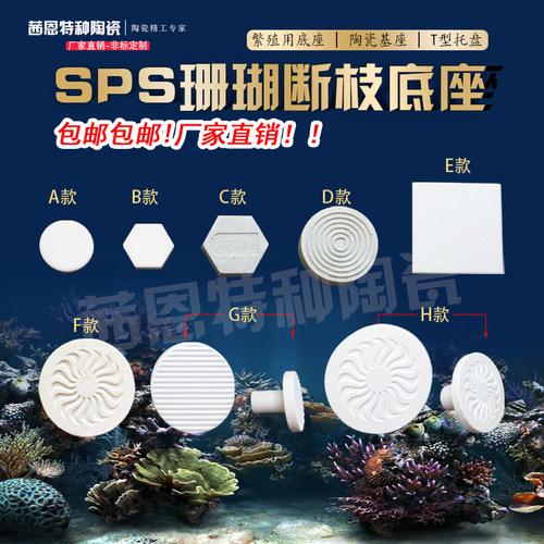 sps珊瑚断枝繁殖厂家直销基座