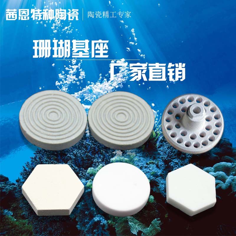 珊瑚断枝底座繁殖基座陶瓷托盘