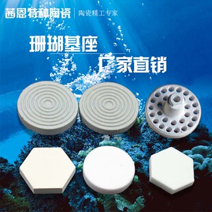 珊瑚断枝底座 繁殖用底座纽扣基座 sps断枝  陶瓷基座 T型托盘