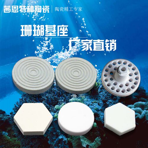 珊瑚断枝底座繁殖基座陶瓷托盘