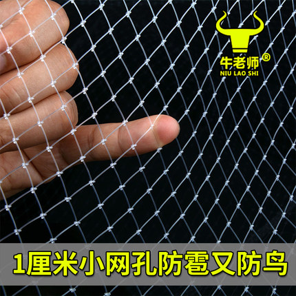 果园防鸟网葡萄大棚保护网家用果树网防鸟用网阳台驱鸟尼龙网户外