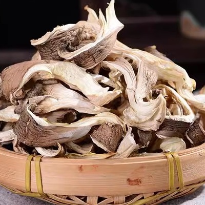 平菇干货500g干平菇新鲜凤尾菇干白平菇食用营养菌菇类磨菇非香菇