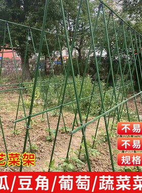 户外园艺爬藤架花架豆角丝瓜黄瓜架子庭院植物攀爬架户外葡萄架