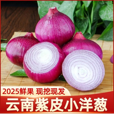 云南农家自种紫皮洋葱新鲜蔬菜