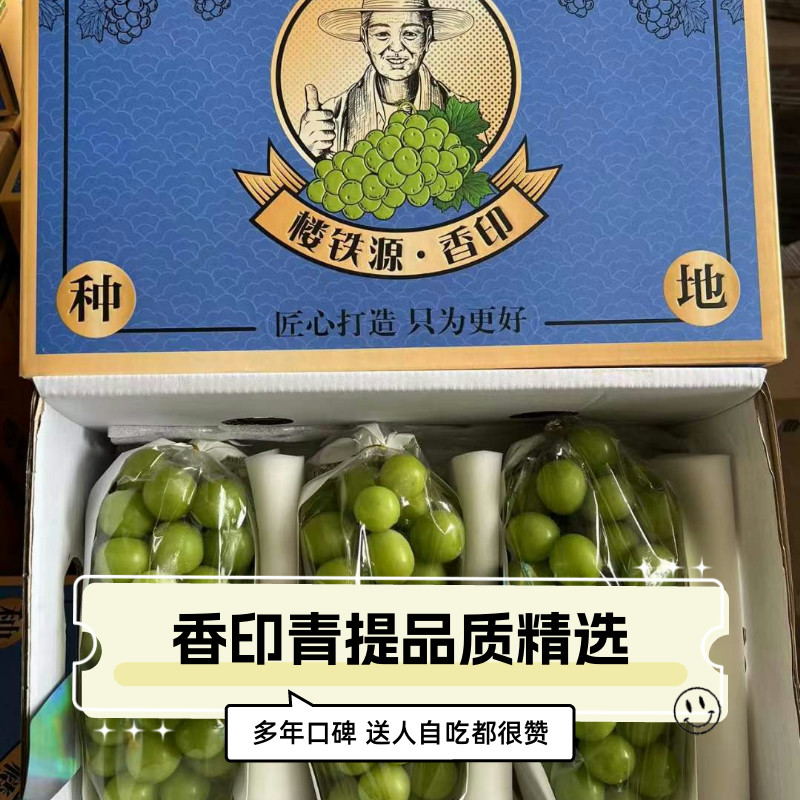 香印青提阳光玫瑰新鲜水果楼铁源