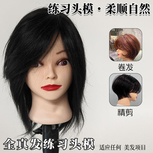 全真发头模美发专用中长发女学徒练习头模男士发量超多推剪烫染