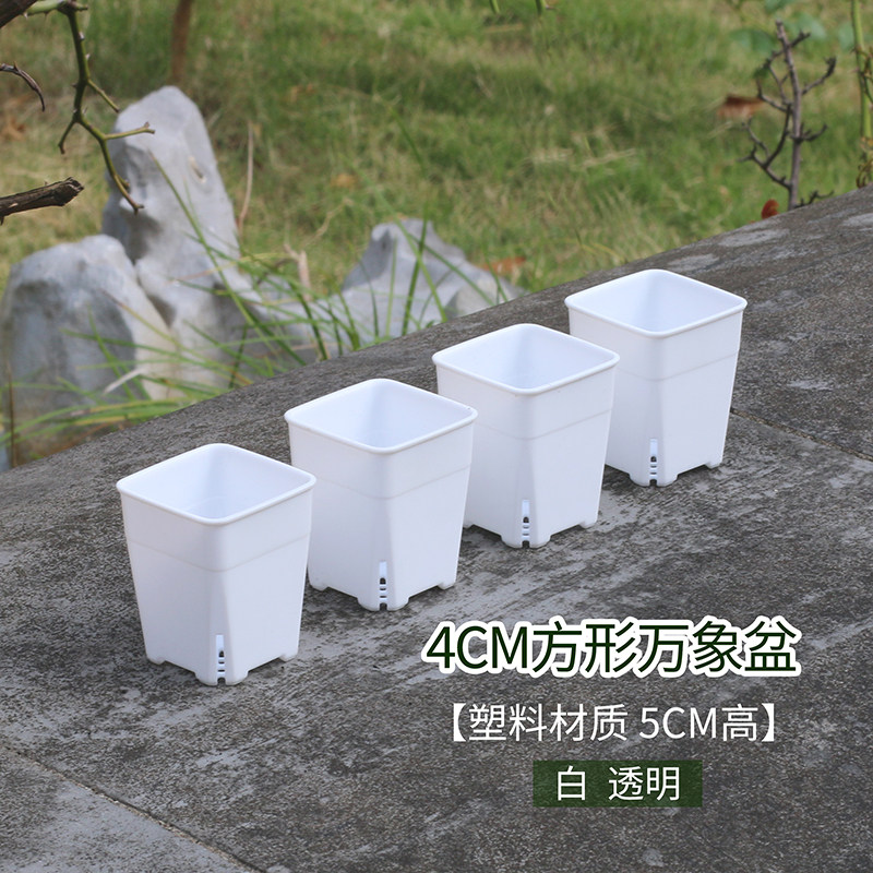 4cm方形花盆迷你特小号白色透明拇指盆长方形多肉育苗盆托盘塑料