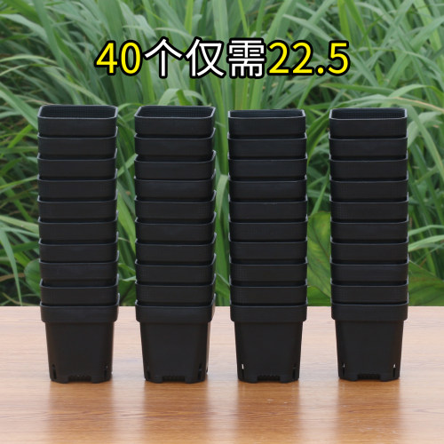 小花盆白方肉肉叶育苗加厚塑料
