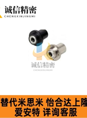 BGFRLB BGFRL BGFSL SBGFRL无扣环双轴承加长嵌入型双轴承固定座