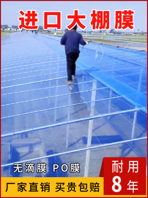 进口大棚塑料膜抗老化保温透光膜
