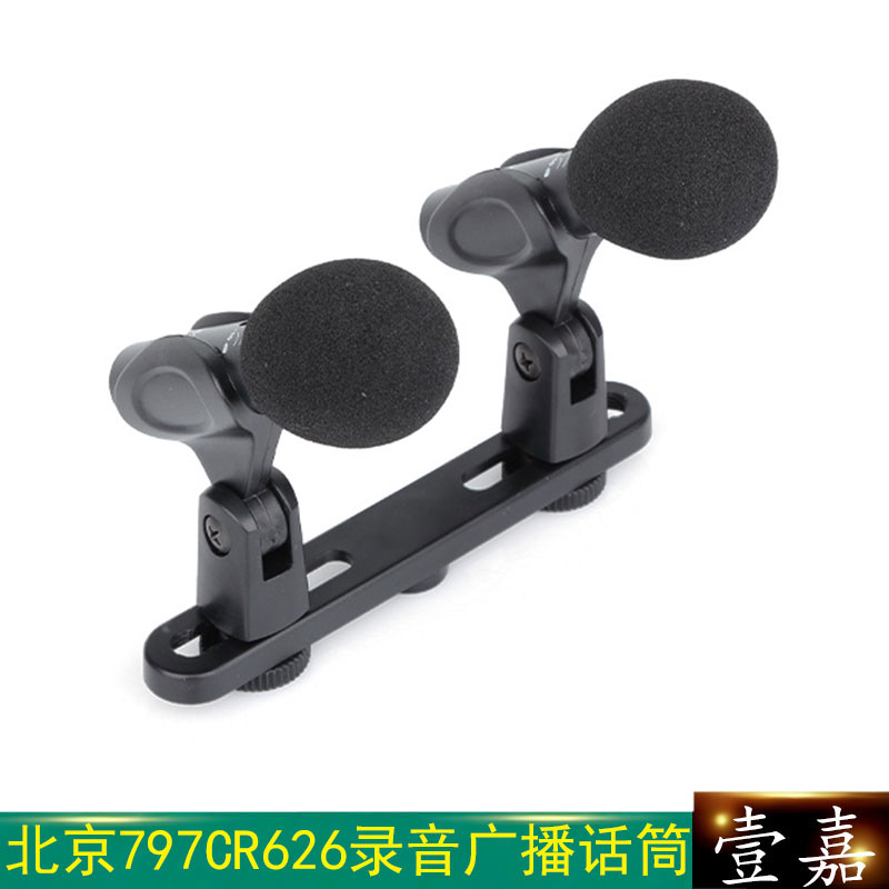 北京797高档膜片有线会议演讲