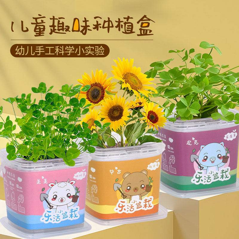 六一儿童节礼物迷你盆栽幼儿园学生观察趣味室内易养活diy小绿植,鲜花速递/花卉仿真/绿植园艺,苔藓微景观,淘宝优惠券,粉丝福利购,淘宝优惠卷