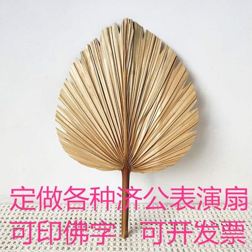 扇子大蒲扇芭蕉扇老式手摇葵扇手工绘画扇舞蹈老人演出表演济公扇 - 封面