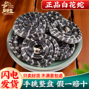 白花蛇中药材金钱白花蛇银环蛇大白花蛇中药小白花蛇泡酒整条包邮
