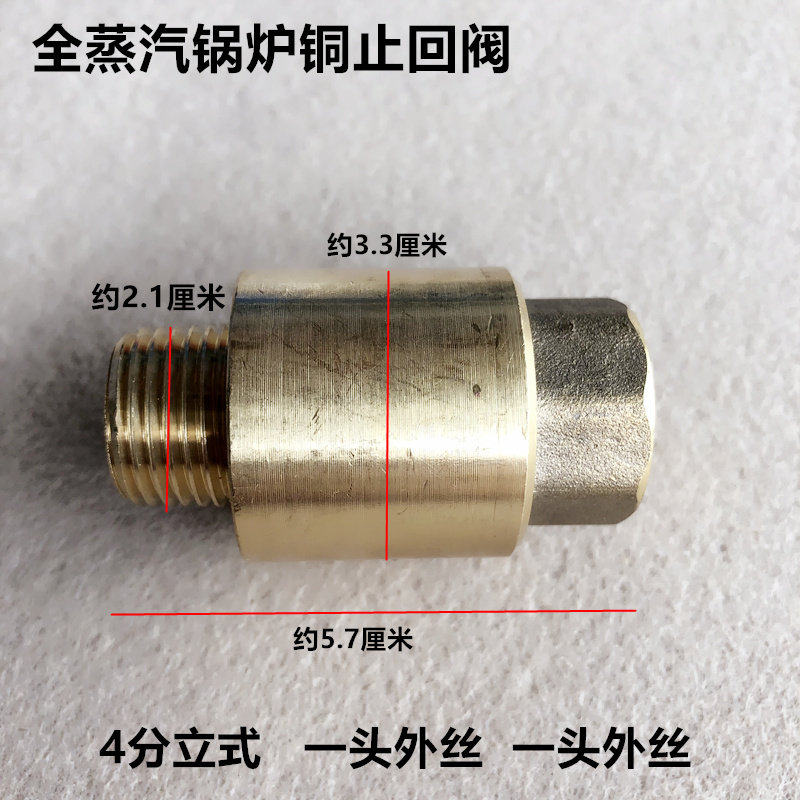 工业锅炉外丝止回阀全蒸汽发生器全铜单向止水回阀4四分立式阀门