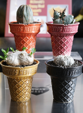 pnd原创冰淇淋陶瓷块根植物花盆彩色多肉潮流盆绿植小型创意植物