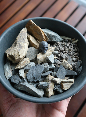 pnd造景石组风化石铺面石天然石材沙生多肉块根植物铺面鹅卵石