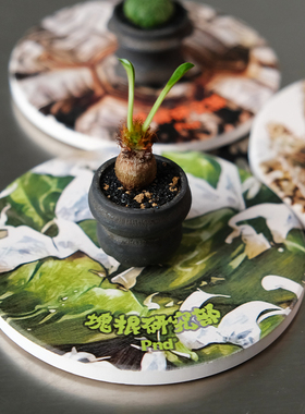 pnd原创块根植物图案杯垫龙舌兰象牙宫龟甲龙防水垫板防磨包邮