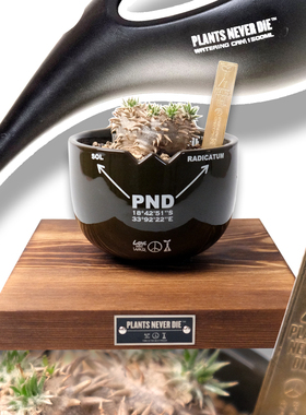 pnd原创军事风块根植物花盆多肉万向盆景潮流绿植欧式陶瓷盆栽