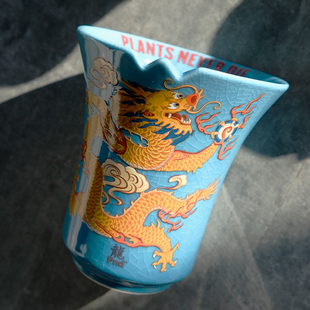 pnd原创龙年限定块根陶瓷花盆龙图案变色多肉植物潮流盆大口 包邮