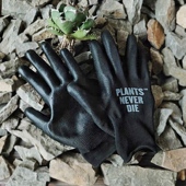 pnd原创块根植物种植防护黑色手套仙人球多刺防扎手涂胶薄款 透气