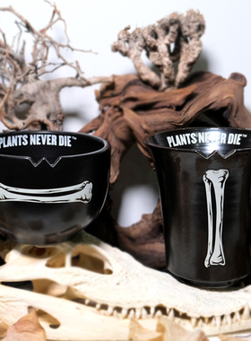 PND原创大口径块根花盆象牙宫多肉盆栽简约盆黑色加厚日式万象盆