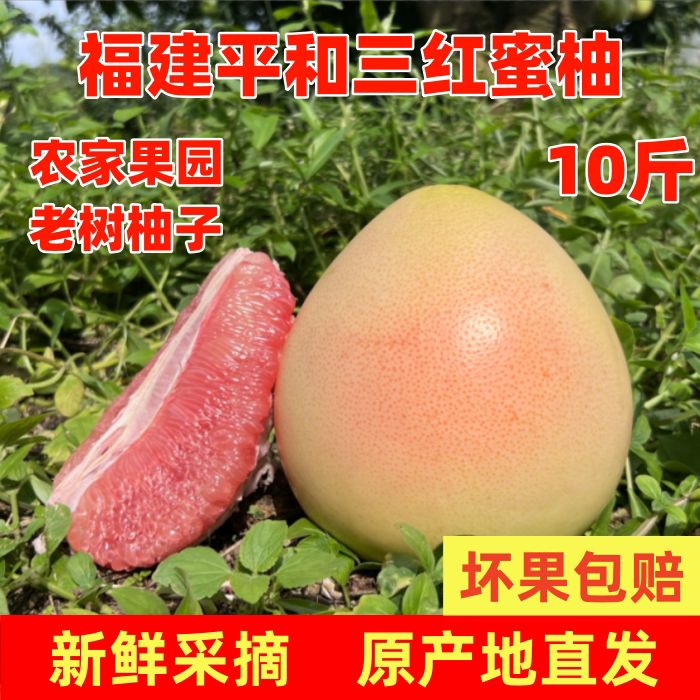 福建平和红心蜜柚新鲜柚子农家果园老树柚子整箱原产地直发