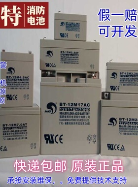 赛特蓄电池BT-12M1.3AT/3.3/7/12/14/16/17/24/38/40AH消防HSE12V