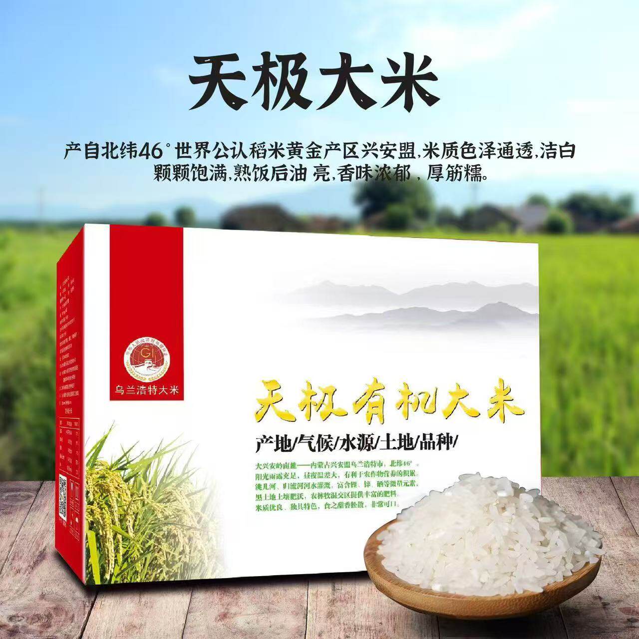 天极米业绿色大米有机大米新米米