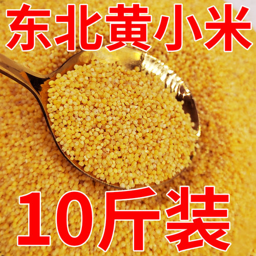 东北黄小米10斤装可煮粥可蒸饭
