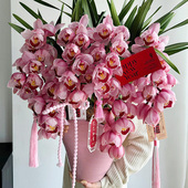 大花蕙兰蝴蝶兰年宵花盆栽真鲜花速递开业乔迁北京上海同城配送店